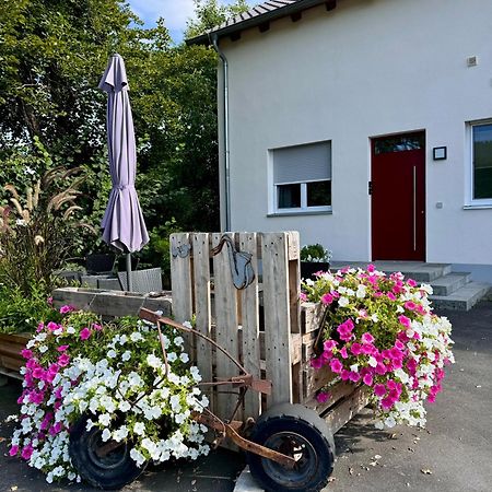 Ferienwohnungen Frank Segnitz Extérieur photo