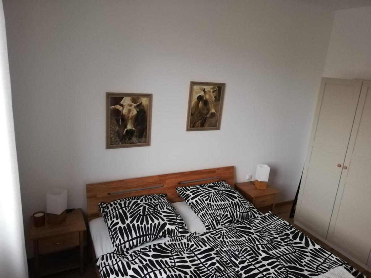Ferienwohnungen Frank Segnitz Extérieur photo