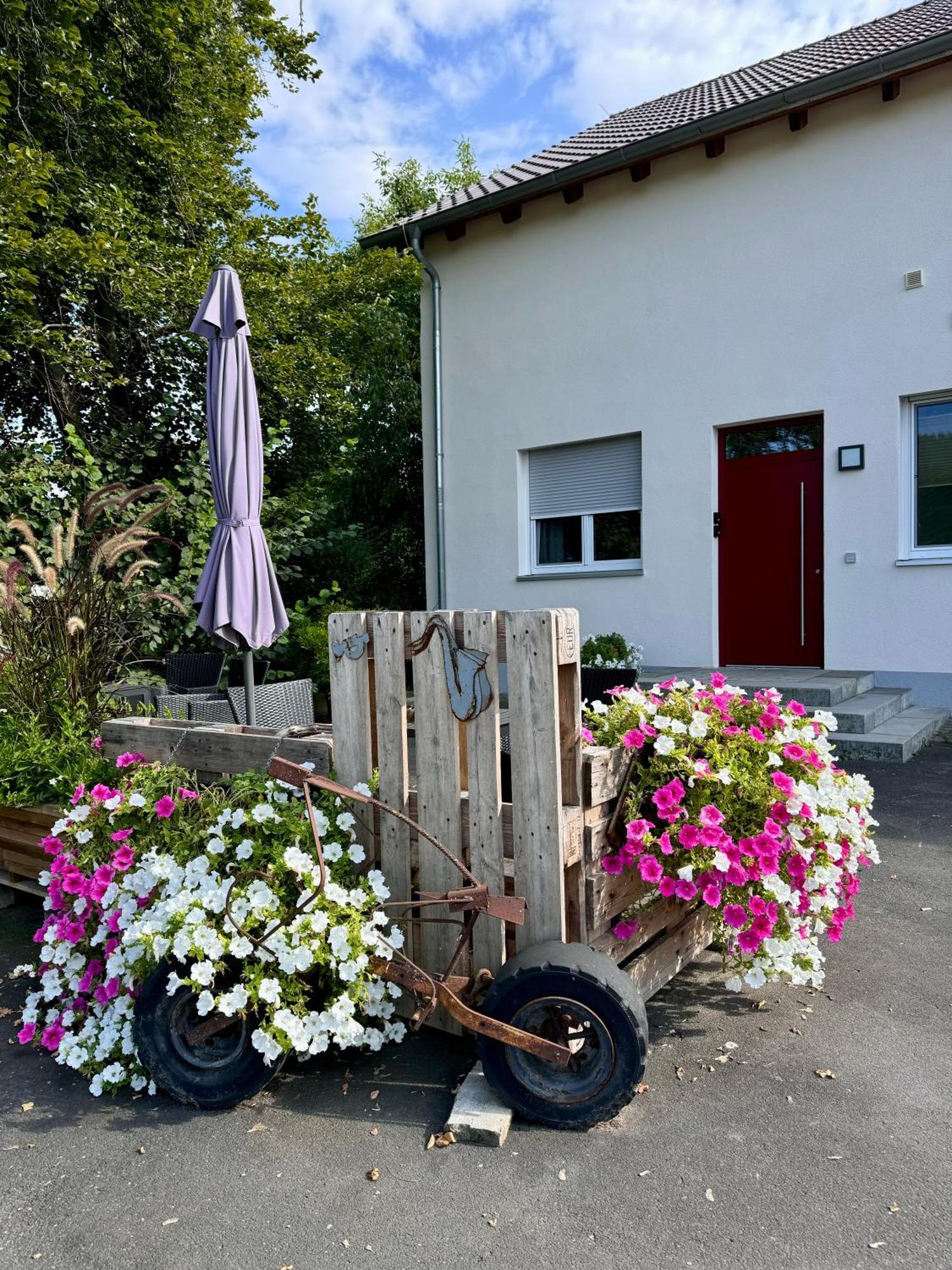 Ferienwohnungen Frank Segnitz Extérieur photo